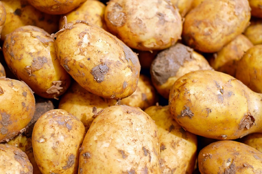 Prijs aardappelen komt onvoldoende bij telers terecht