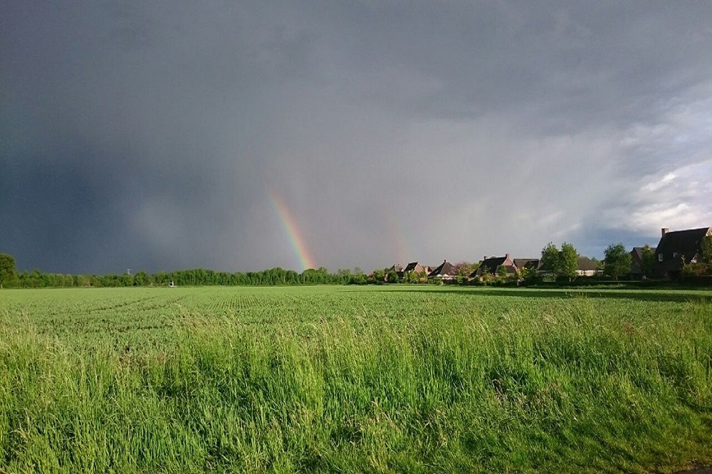 Gras verkleurt niet én de groei valt tegen