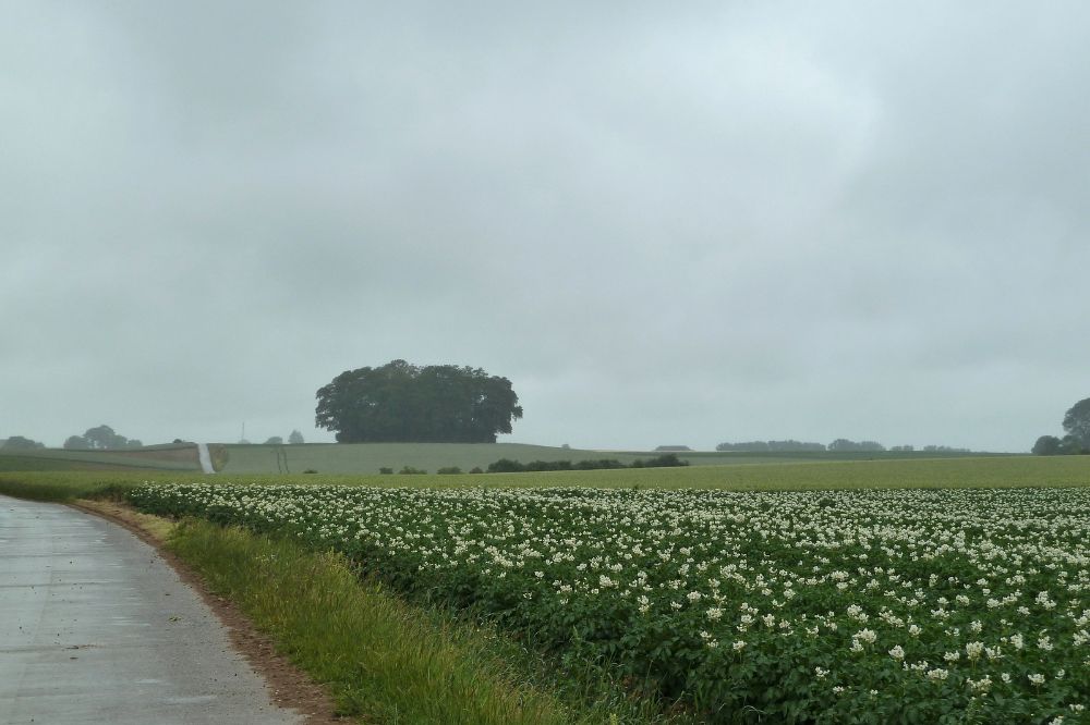 Overzichtsbrochure maatregelen Gemeenschappelijk Landbouwbeleid