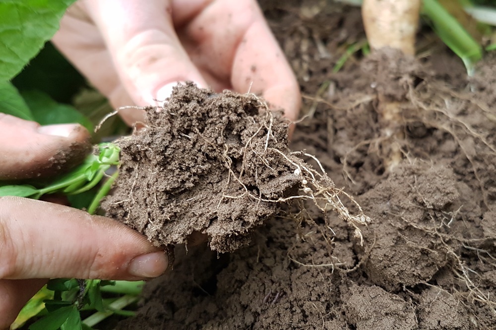 “Gezonde bodem geeft meer grip”