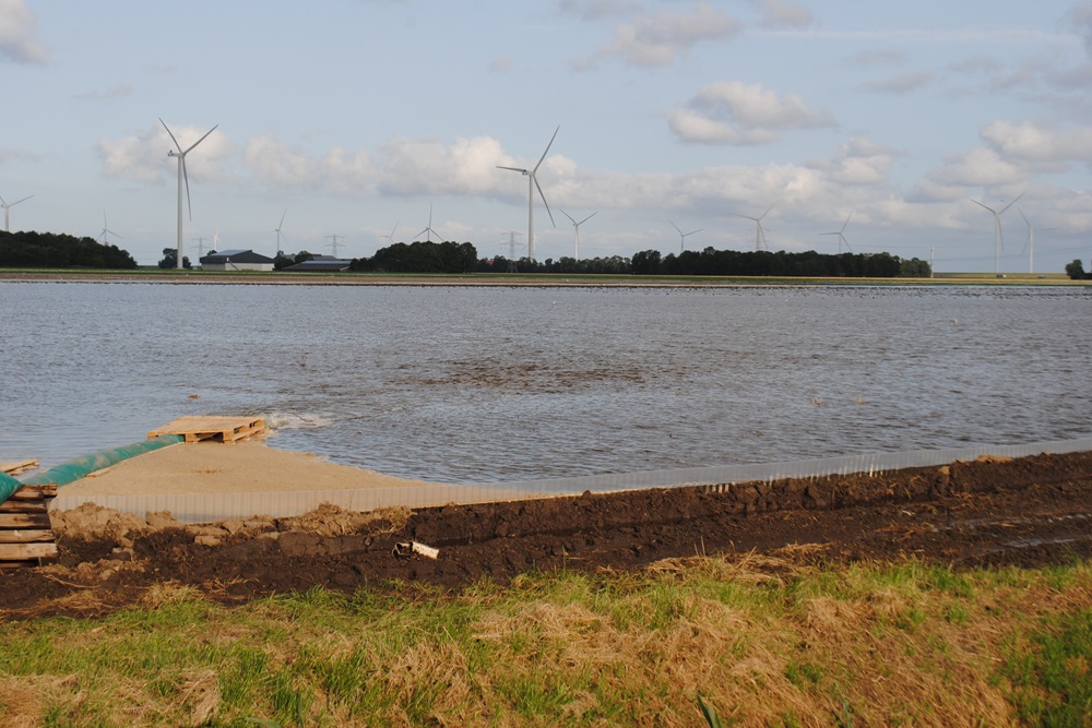 Aaltjesbestrijding door inundatie: effecten op bodemleven, structuur en chemie