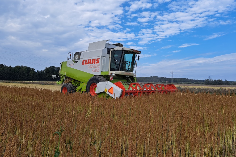 Heeft u al eens aan quinoa gedacht?