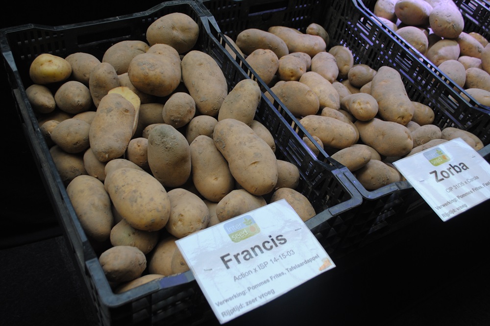 Fritesaardappelen zijn booming