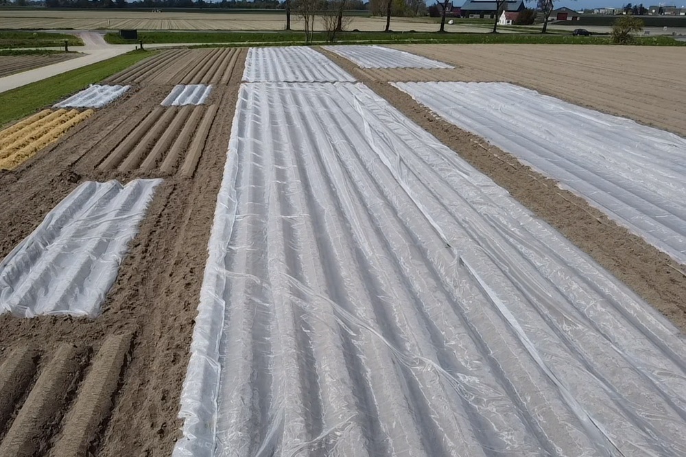 Vervroegingsdoek dekt verlengd groeiseizoen